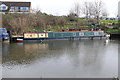 Conger on the River Soar