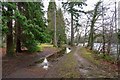 Footpath on the Ness Islands