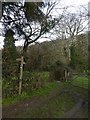 Footpath from Bilberryhill to River Mardle