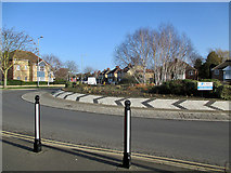 TL4757 : Roundabout with silver birch by John Sutton