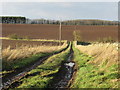 Farm track on Spotsmains near Kelso in the Scottish Borders