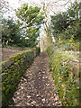 Footpath climbing through Cragg Wood, Rawdon