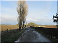 Road into Spotsmains near Kelso in the Scottish Borders