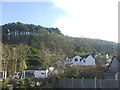 Looking up from Dolebury Bottom