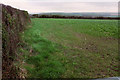 Arable field near Costislost