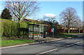 SE5648 : Bus stop and shelter on Moor Lane, Woodthorpe, York by JThomas