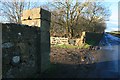 Wall and road near Bellfield