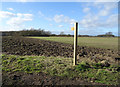 Footpath over fields from Catterton Lane