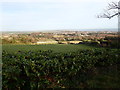 View across pasture land in the direction of the town of Newcastle