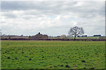 SP7030 : Field near Oxlane Bridge by Robin Webster