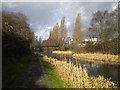 Walsall Canal, Toll End (2)