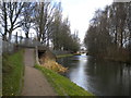 Walsall Canal, Toll End (3)