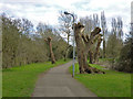 Path by river, Buckingham