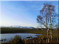 Outlook towards Beinn Wyvis, Culbokie Wood