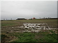 Wet field and Glebe Farm