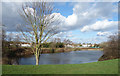 Brickfields Meadow Lake