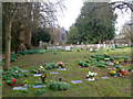 SU2845 : Graveyard, Thruxton by Robin Webster