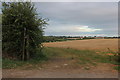 SP3311 : Field by Dry Lane near Crawley by David Howard