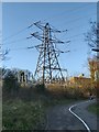 TQ5940 : Electricity Pylon next to Sub-station by John P Reeves