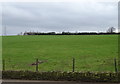 Hillside grazing off the A58