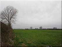 SK7232 : Grass field near Langar Grange Cottages by Jonathan Thacker
