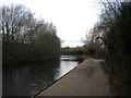 Walsall Canal, Wednesbury (1)