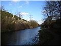 Walsall Canal, Rough Hay (2)