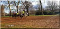 TQ2779 : Horse Riding in Hyde Park, London by Christine Matthews