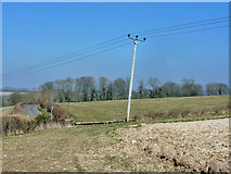 SU2553 : Farmland near Collingbourne Ducis by Robin Webster
