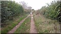 Bridleway towards New Farm