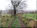 Llwybr i Heol Penlan / Path to Penlan Road