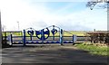 NZ2466 : Ornamental gates to the Town Moor by Robert Graham