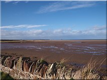 NT6678 : Tide is out at Belhaven Beach by Jennifer Petrie