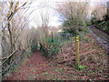 Cyffordd o lwybrau / A junction of paths