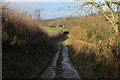 ST9224 : Wessex Ridgeway in Dengrove Bottom by Chris Heaton