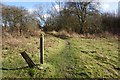 England Coast Path at Stonelees