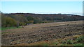 Farmland by Victoria Bridge (Arley)