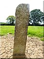 Old Milestone in field east of Lanreath village