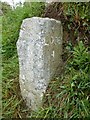 Old Milestone north of Great Kellow Farm