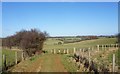 Bridleway leading to Shuttlesfield