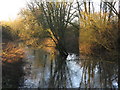 The River Colne by Stephenson Way