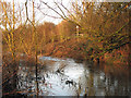 The River Colne by Stephenson Way (2)