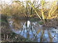 The River Colne by Stephenson Way