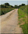SS3207 : Lane to Rhude Cross by Derek Harper
