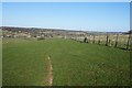 Fields on Mill Down