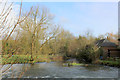 River Wylye outside Mill Farm