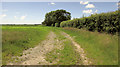 Field boundary near Mountjoys Farm