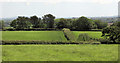 Fields near Youldon