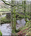 The Cover at Arkleside Bridge