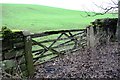 Field gateway off SE side of A686 at Barbary Plains